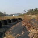 일호농장 이미지