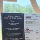 경주 파크유스타운 | 경주 보문단지 맛집 효은옥 경주분점 동궁원 근처 한식집 소갈비 전골