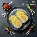 농업회사법인청송마을기업 (주) | [절임 공장 설비] 경북 청송 '뜰농업회사법인(주)'와 '절임배추 생산설비 공급계약'을 체결했다