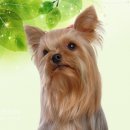 나랑동물병원 이미지