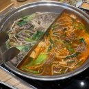 싱싱멸치계란나라