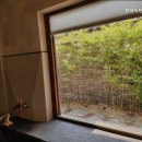 한옥녹턴 율동 이미지