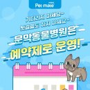 문막동물병원 네이버블로그