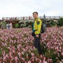 제주 올레길 10-1코스 이미지