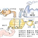 리메디얼 휘트니스 전남대공대점 이미지