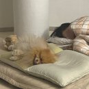 천미식당 | W11. 경주 요석궁1779 천미 식사 후기. 모두가 만족했던 상견례 식당 추천