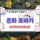 또바기디자인