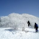 진주산오름2월 정기산행(계방산) 이미지