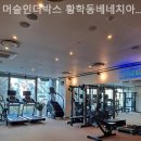 머슬 인 네이버블로그