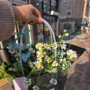 해피플라워 | [청주시 산남동] 청주 산남동 꽃집 해피플라워, 집들이 선물 꽃다발 포장 후기