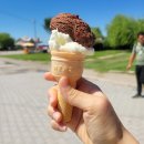 골때리는 닭돈탕 | 튀르키예 패키지 특식은 뭐먹고, 쇼핑은 어디가는건데..?