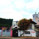 맘스터치 자인점 이미지