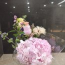 올림픽파크텔뒤 | [WD/베뉴] 송파 호텔 예식 추천/서울올림픽파크텔 찐 하객 후기/주차등록
