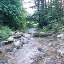 르보아펜션 이미지