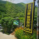 피자마을 밀양펜션 | 밀양 펜션 추천 피자마을 밀양펜션 내돈내산 후기｜여름휴가 가족펜션으로 좋은 독채 숙소, 피자 만들기...
