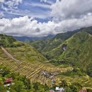 논