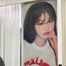 로라로라현대