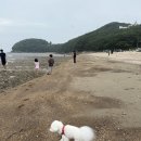 민머루해수욕장 이미지