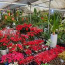 해성농원 이미지