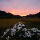 김진학 Daum카페