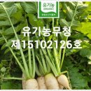 2025 = 2월 = 2일 유기농명인 박영일 님 유기농 (무청) 시래기 이벤트 종료 이미지