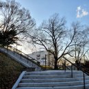 대머리근린공원 이미지