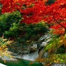 삼평동624-2 이미지