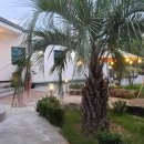 남해 인도마리 펜션 이미지