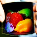 엘지민박 이미지