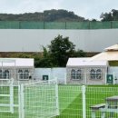 펠리스뻬로 이미지