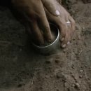 라이언상사 이미지