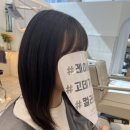 골든헤어린 | 25년 07월 Diary