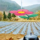 상오안리농장 이미지