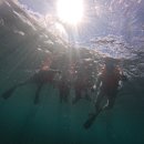 (주)주성마트 - 진천군 | [보홀 3박5일] 헤난리조트 알로나비치 / 3박5일 경비,페소환전 / 정어리떼,반딧불이 투어 /LEUX HOTEL...