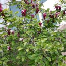 만복경로당 이미지