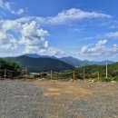 스테이더문 이미지