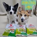 GS25의정가능로점 | (맛있는 빵 간식 추천)GS25 &amp; 서울우유 콜라보 말차크림빵 시리즈 먹방 후기