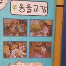 늘품자연유치원 이미지