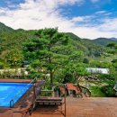 타샤의 아침 이미지