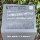제주 사라봉 일제동굴진지 | 제주 사라봉 일제 동굴진지(등록문화재 306호)