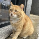 도원고등학교앞 이미지