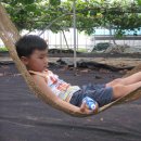 준원농장 이미지