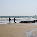 킹콩솔숲캠핑장