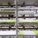 이수농장 이미지