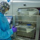 국보산삼오리 이미지