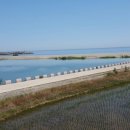 만선민박2 이미지