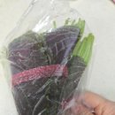 와싸다장터 이미지