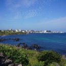 제주플래티늄카라반 이미지