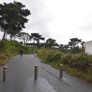 충의공원(충혼탑) | 곡성 동화정원 황금빛으로 물들었다