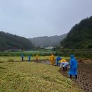 수비면행정복지센터 이미지